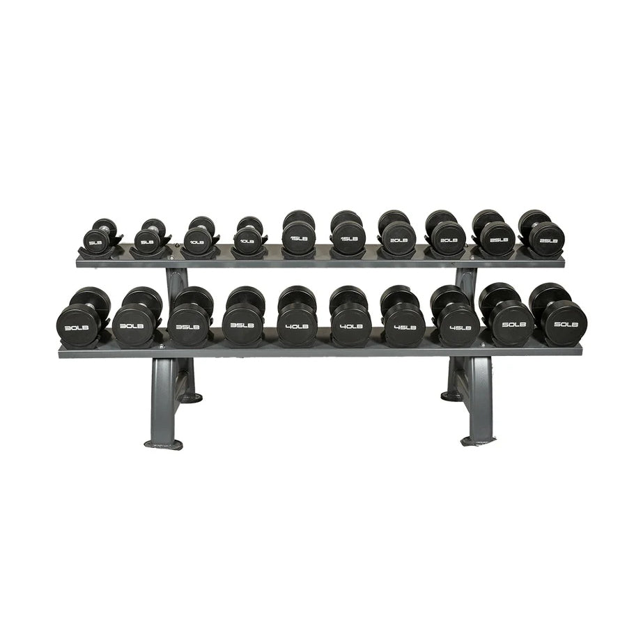 Warrior 2 Tier Pro Saddle Dumbbell Rack SALE Warrior Strength Equipment