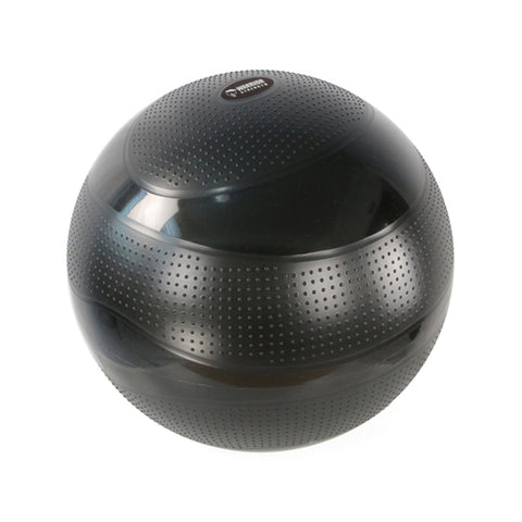 Warrior Deluxe Exercise Ball