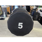 Warrior 12-Sided Urethane Dumbbells