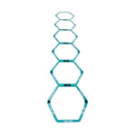 Warrior Hexagonal Agility Ladder & Hurdle
