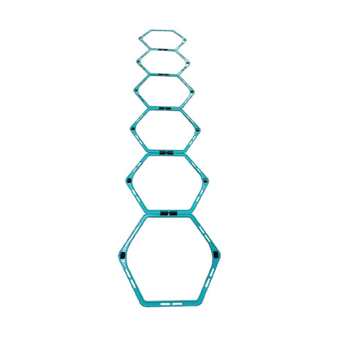 Warrior Hexagonal Agility Ladder & Hurdle