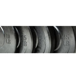 Warrior Economy Bumper Plates