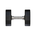 Warrior 12-Sided Urethane Dumbbells