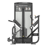 Warrior Elite Commercial Series Multi Back Extension