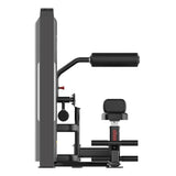 Warrior Pro Commercial Series Abdominal/Back Extension
