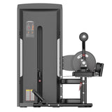 Warrior Pro Commercial Series Abdominal/Back Extension