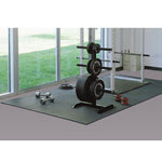 Warrior Rubber Gym Floor Mats - Stand Alone