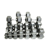 Warrior Rubber Hex Dumbbells