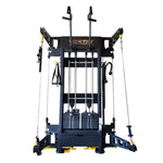 Warrior Wall Mounted Functional Trainer